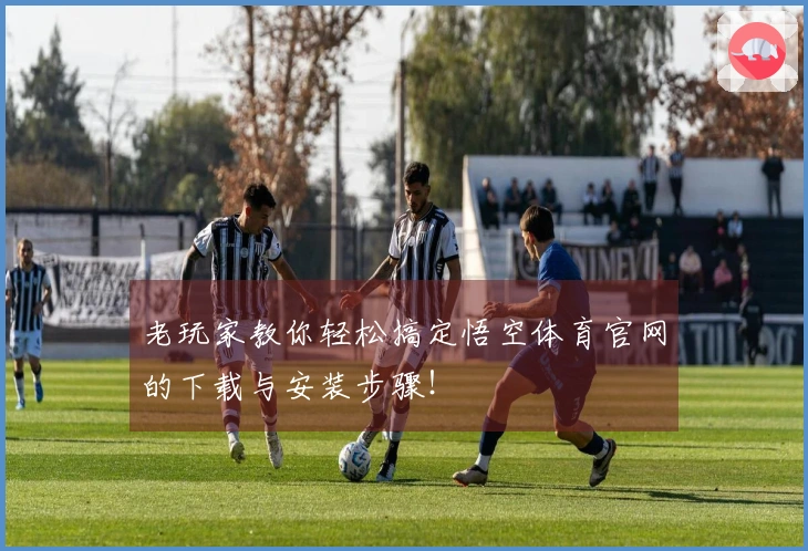 老玩家教你轻松搞定悟空体育官网的下载与安装步骤！