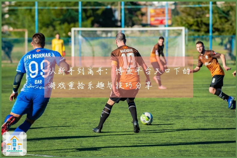 从新手到高手：博鱼平台入口下的游戏重拾乐趣与技巧分享