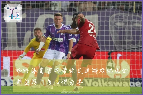 哈哈体育官网带你走进游戏玩法的那些窍门与心得分享